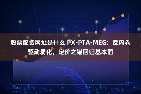 股票配资网址是什么 PX-PTA-MEG：反内卷驱动弱化，定价之锚回归基本面